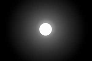 BW-01