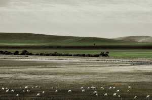 LAND01