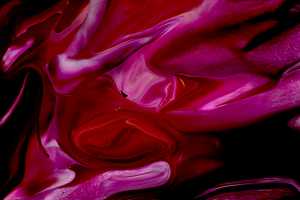 PINK-019