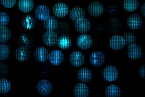 led-13