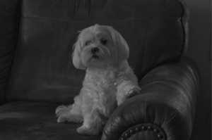 MOLLY-2023-01