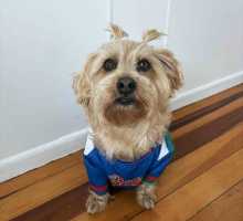 OLLIE-26JULY25-245