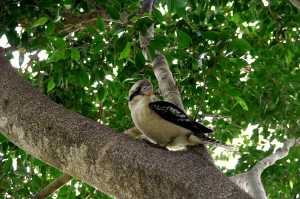 MOOGERAH-DAM-QLD-2004-1
