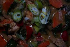 RED-THAI-CURRY-02