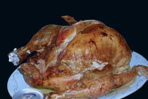 ROAST-TURKEY-09