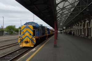 DUNEDIN-2019(1)