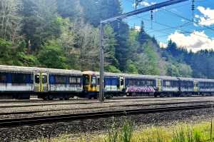 TAUMARUNUI-NZ(1)