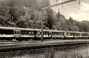 TAUMARUNUI-NZ(2)