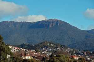 MT-WELLINGTON-01