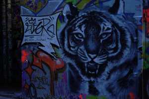 STREET-ART(5)